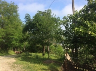 Частный дом в Хелвачаури. Купить частный дом с мандариновым и ореховым садом в Хелвачаури, Аджария, Грузия. Фото 13