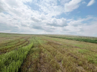 Land parcel for sale in Kakheti, Georgia. Photo 1