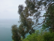 Участок с видом на море в Сарпи, Грузия. Фото 3