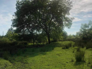 Land parcel, Ground area for sale in a resort district of Ureki, Georgia. Photo 5