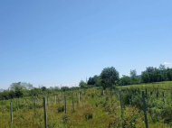 Land parcel, Ground area for sale in Supsa, Georgia. Near the river. Photo 2