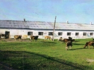 An existing agricultural complex for sale. Adjara, Georgia. Photo 2