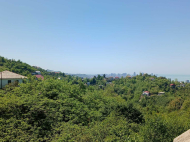 Купить дом в Аджарии. Купить дом в Гантиади, пригород Батуми, Грузия. Фото 4