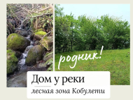 House for sale with a plot of land in Bobokvati, Georgia. Natural spring. Near the river. Sea view. Photo 1