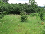 Not far from Batumi, a plot of land with a walnut garden is for sale. Photo 13