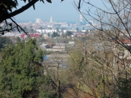Земельный участок для дачи в Капрешуми, Батуми, Грузия. Фото 1