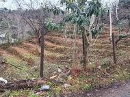 Продается земельный участок в Батуми, Грузия. Фото 3
