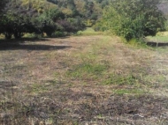 Land parcel, Ground area for sale in the suburbs of Tbilisi, Georgia. Photo 4