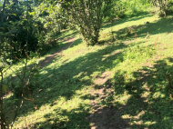 House for sale with a plot of land in the suburbs of Ozurgeti, Georgia. Photo 6
