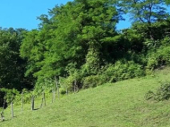 Land parcel, Ground area for sale in the suburbs of Batumi, Georgia. Photo 3