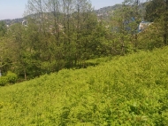 Продается земельный участок с прекрасным видом на город, Батуми, Аджария, Грузия. Фото 5