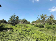 Three houses and a plot of land for sale in the vicinity of Kobuleti, Georgia. Photo 11