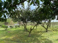 Продается частный дом с земельным участком в Дарчели, Грузия. Ореховый сад. Фото 15