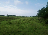 Land parcel, Ground area for sale in Natanebi, Georgia. Photo 2