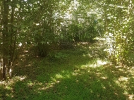 Продается земельный участок в тихом месте, в экологически чистой среде Аджария, Грузия. Фото 2