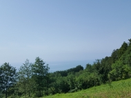 Ground area for sale in a quiet district of Sarpi, Georgia. Land with sea view. Photo 1