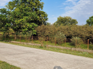 Land parcel, Ground area for sale in the suburbs of Zugdidi, Georgia. Walnut garden. Near the river. Photo 3