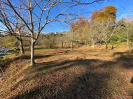 Land parcel, Ground area for sale in a resort district of Chakvi, Georgia. Land parcel, Ground area for sale in a picturesque place. Near the river. Photo 4