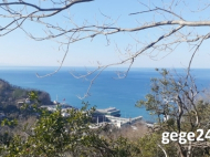 Land for sale near the sea in Sarpi, Georgia. Land with sea view. Photo 2