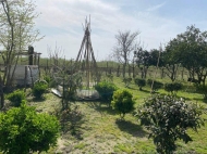 Продается частный дом с земельным участком в Дарчели, Грузия. Ореховый сад. Фото 10