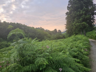 Участок с видом на горы в тихом районе в Ортабатуми, Батуми, Грузия. Фото 2