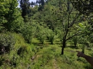 Продается земельный участок в живописном месте. Земельный участок в курортной зоне Чакви, Грузия. Фото 7