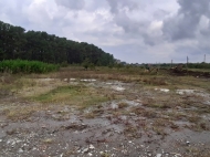 Land for sale is beneficial for investment. Photo 1