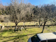 Купить дом с земельным участком в пригороде Ланчхути, Грузия. Мандариновый сад, Фруктовый сад. Ореховый сад. Фото 3