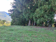 იყიდება მიწის ნაკვეთი სახალვაშო, საქართველო. ფოტო 7