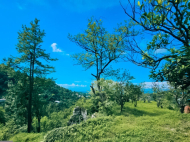 Продается дом с земельным участком в Квирике, Грузия. Вид на море. Фото 7