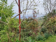 Land parcel, Ground area for sale in Makhinjauri, Georgia. Tangerine garden, Orchard. Photo 2