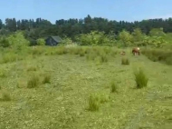 Land parcel, Ground area for sale in a resort district of Ureki, Georgia. Photo 4