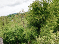 House for sale with a plot of land in the suburbs of Ozurgeti, Georgia. Near the river. Photo 33