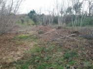 Ground area ( A plot of land ) for sale in a quiet district of Kobuleti, Georgia. Photo 4