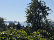 Продается двухэтажный дом. Зеленый мыс, Аджария, Грузия. Фото 2