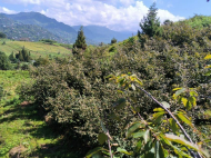 Купить частный дом в курортном районе Сахалвашо, Грузия. У реки. Фото 15