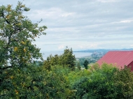 Land parcel on the Black Sea coast in Bobokvati. Ground area for sale in Bobokvati, Georgia. Photo 3