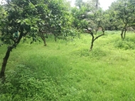 Land parcel, Ground area for sale with orchard (and tangerine garden) in a quiet district of Batumi, Georgia. Photo 1