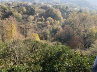 Купить частный дом в курортном районе Кобулети, Грузия. Мандариновый сад, Фруктовый сад. Ореховый сад. Фото 5