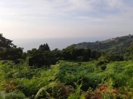 Land parcel for sale in Sarpi, Georgia. Ground area with sea view. Photo 2