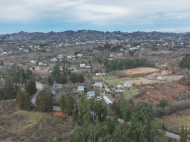 An existing agricultural complex for sale. Greenhouse. Photo 12