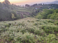 Land parcel, Ground area for sale in the suburbs of Batumi, Georgia. Sea view. Photo 5