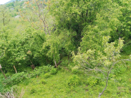 House for sale with a plot of land in the suburbs of Ozurgeti, Georgia. Near the river. Photo 32