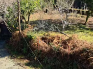 House for sale in a resort district of Bobokvati, Georgia. Photo 16