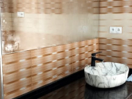 ყიდვა კერძო სახლის მიწის ნაკვეთით ქალაქგარეთ ბათუმში, ახალშენი. მანდარინის ბაღი, ხილის ბაღი.  ფოტო 14