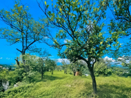 Продается дом с земельным участком в Квирике, Грузия. Вид на море. Фото 6