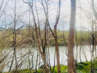 Продается дом с земельным участком в Супса, Грузия. Фото 3