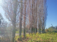 Купить частный дом с земельным участком в пригороде Самтредиа, Грузия. Фото 3