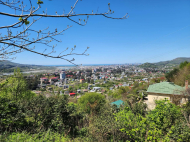 Дом с участком в Хелвачаури. Дом с мандариновым и фруктовим садом в Хелвачаури, Грузия. Фото 2