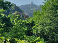 Land parcel, Ground area for sale in Sakhalvasho, Georgia. The project has a construction permit. Photo 7